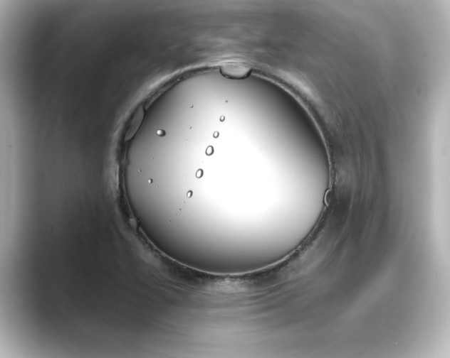 X0000089401414200706221109