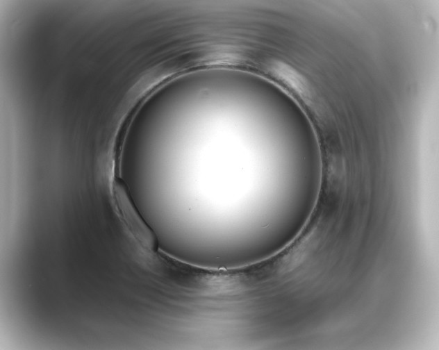 X0000089401418200706221109