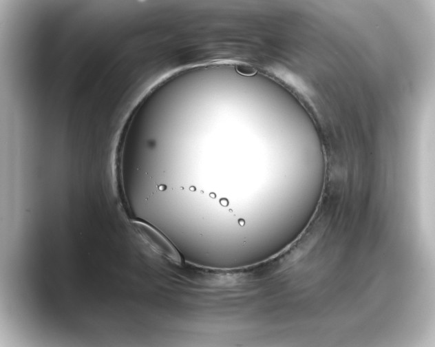 X0000089401423200706221109