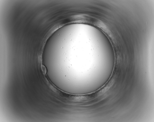 X0000089401425200706221109