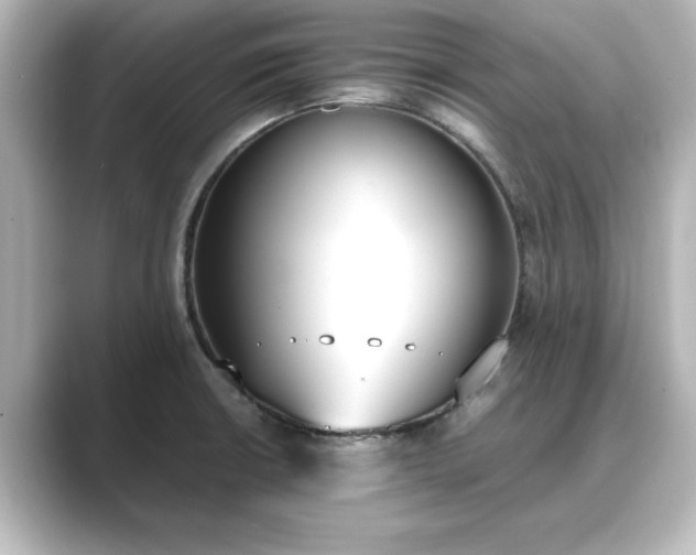 X0000089401426200706221109