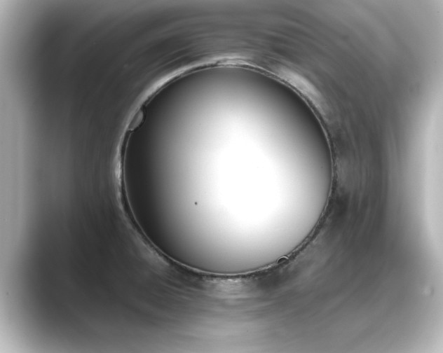 X0000089401428200706221109