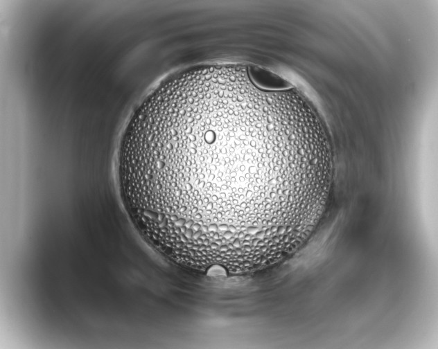 X0000089401429200706221109