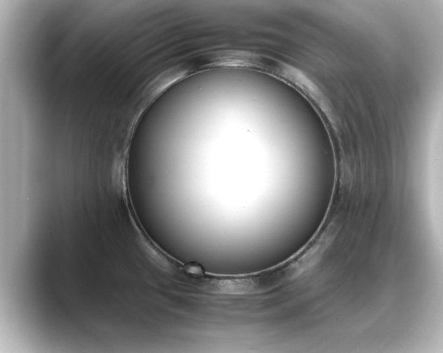 X0000089401433200706221109