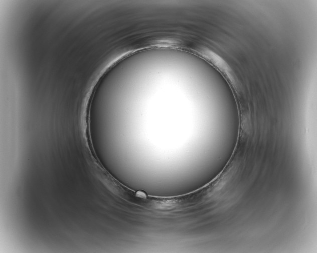 X0000089401435200706221109