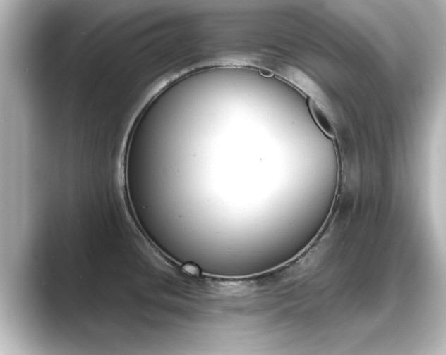 X0000089401436200706221109