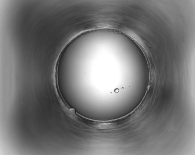 X0000089401439200706221109