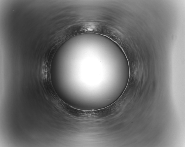 X0000089401442200706221109