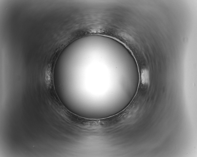 X0000089401444200706221109