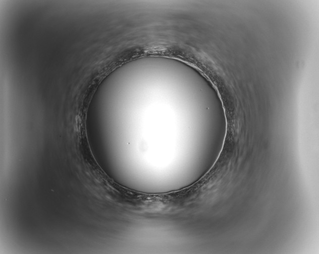 X0000089401445200706221109