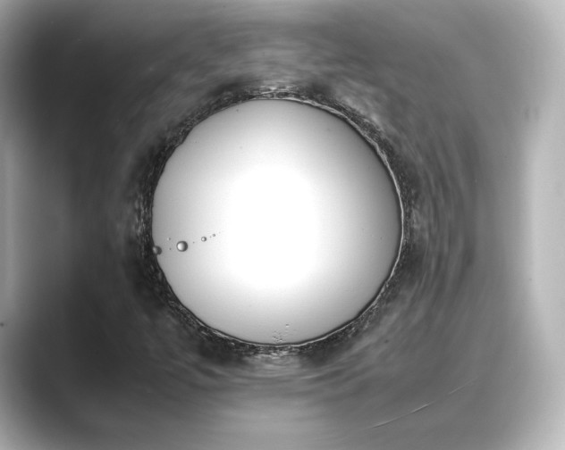 X0000089401447200706221109