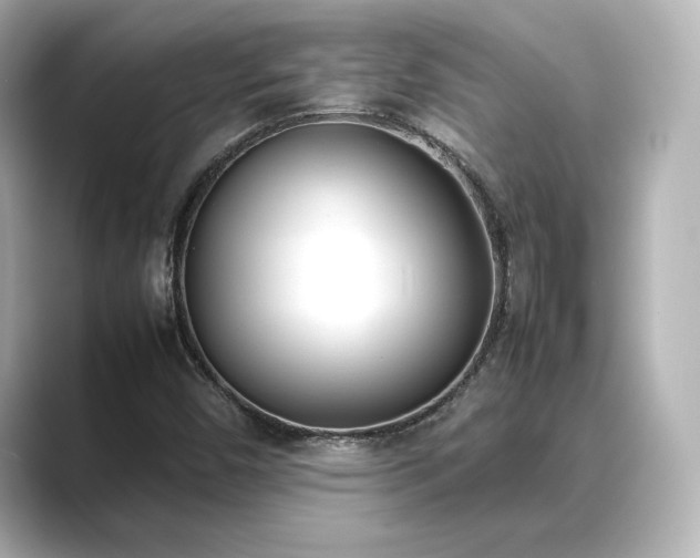 X0000089401450200706221109