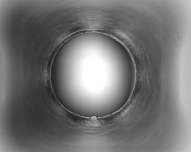 X0000089401457200706221109