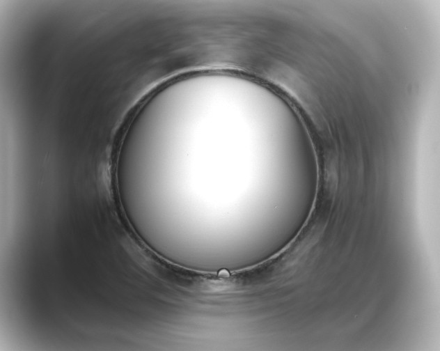 X0000089401460200706221109