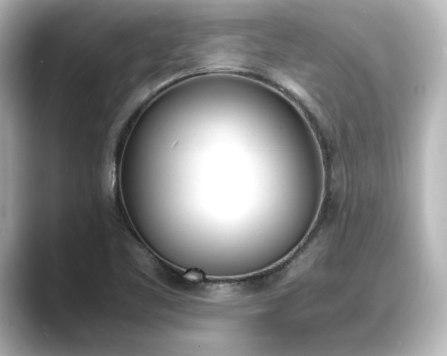 X0000089401461200706221109