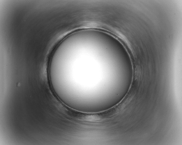 X0000089401464200706221109