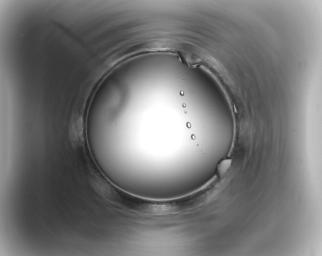 X0000089401465200706221109