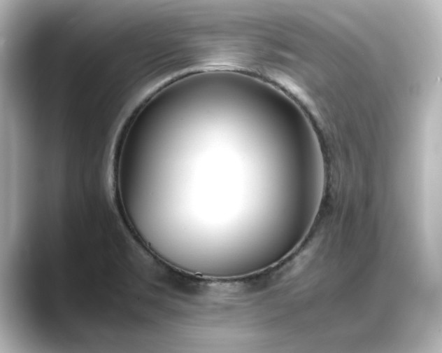 X0000089401469200706221109