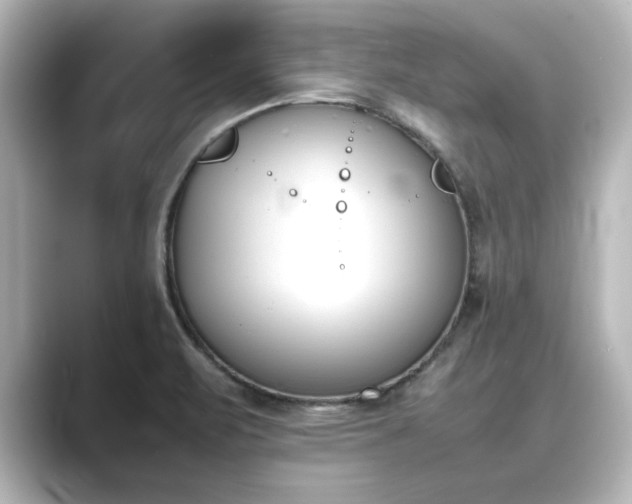 X0000089401471200706221109