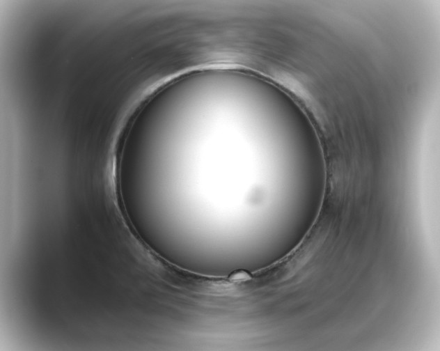 X0000089401472200706221109