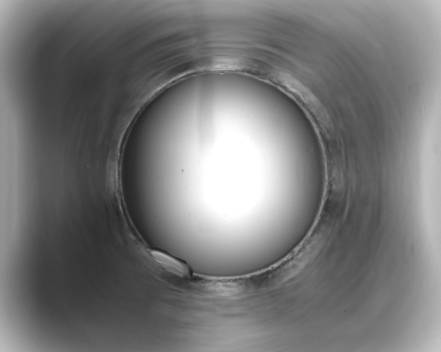 X0000089401473200706221109