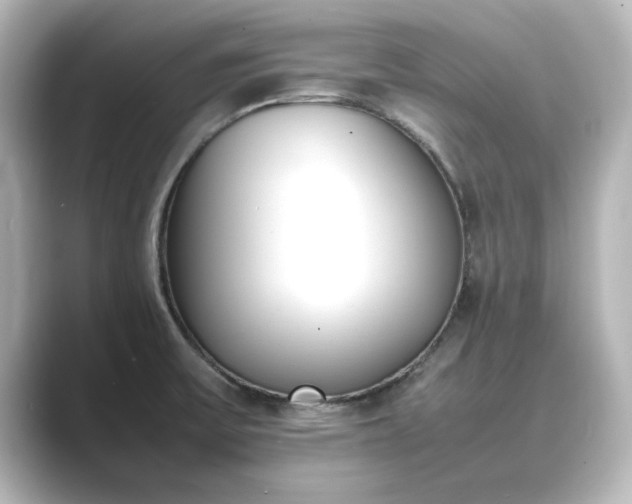 X0000089401475200706221109