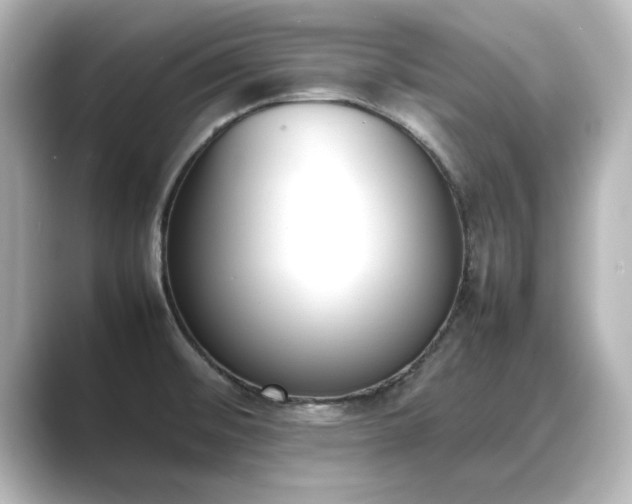 X0000089401476200706221108