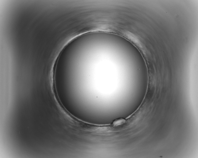 X0000089401479200706221108