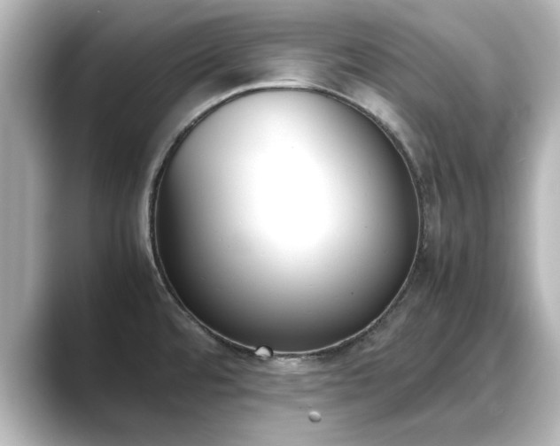 X0000089401480200706221108