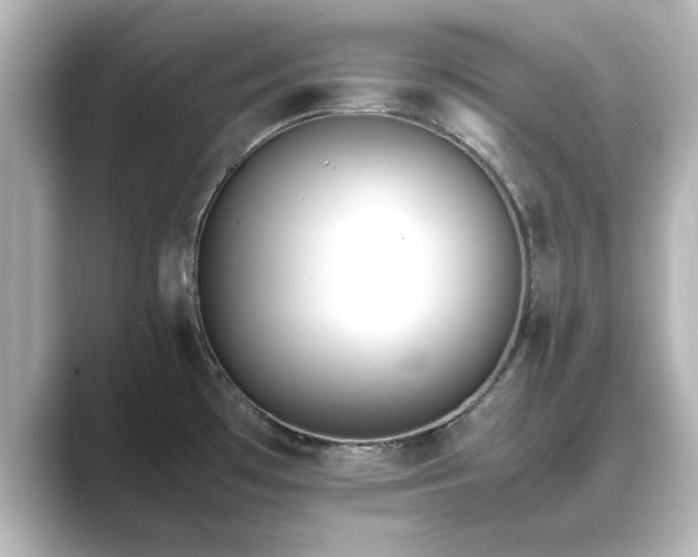 X0000089401481200706221108