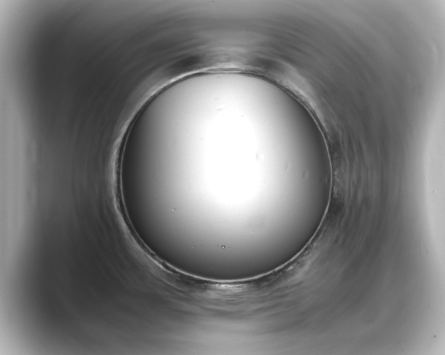 X0000089401483200706221108