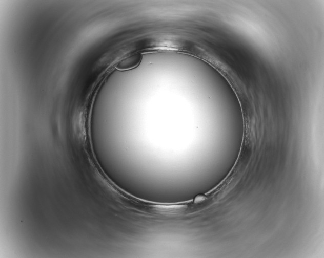 X0000089401487200706221108