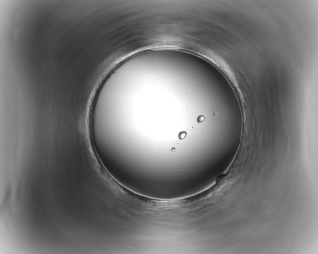 X0000089401488200706221108