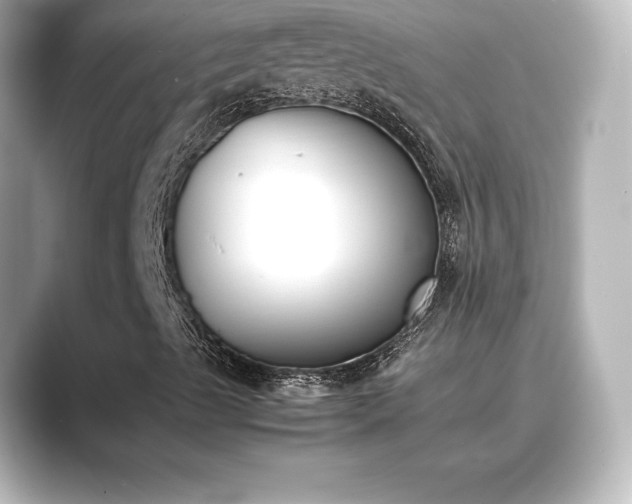 X0000089401489200706221108