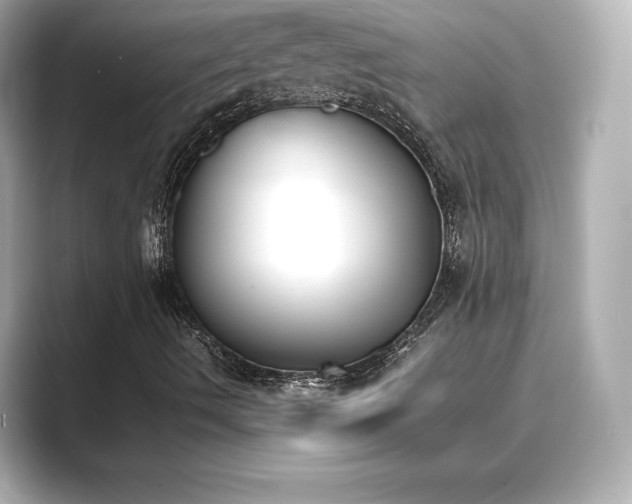 X0000089401490200706221108