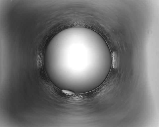 X0000089401491200706221108