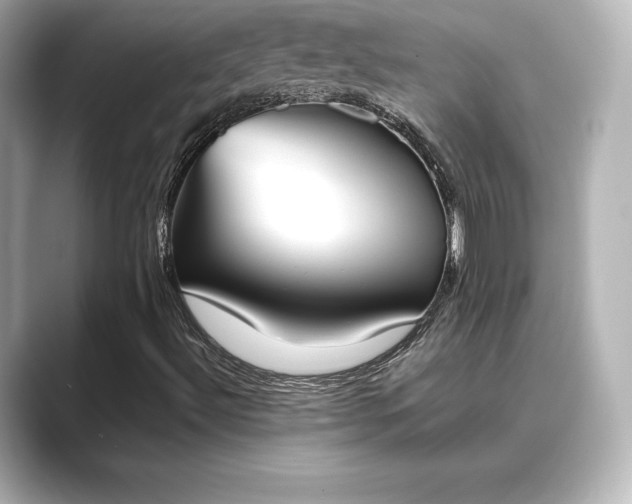 X0000089401492200706221108