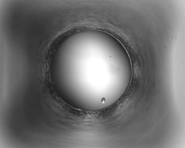 X0000089401494200706221108