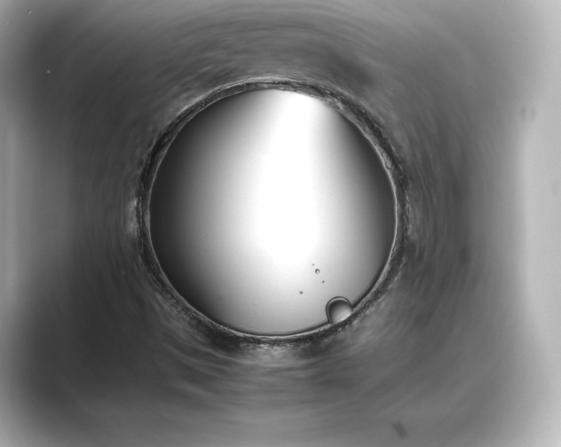 X0000089401497200706221108