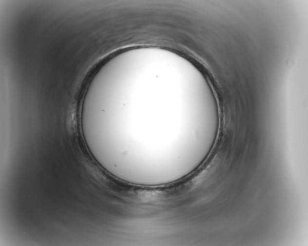 X0000089401498200706221108