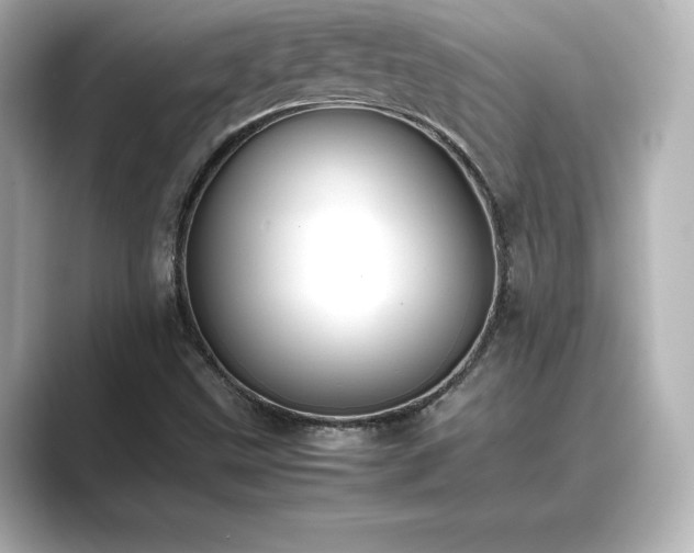 X0000089401499200706221108