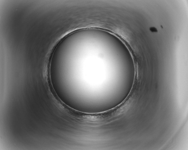 X0000089401500200706221108