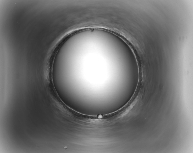 X0000089401502200706221108