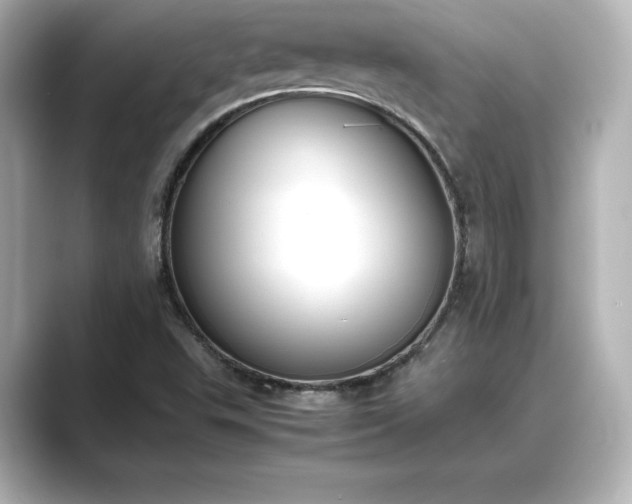 X0000089401503200706221108