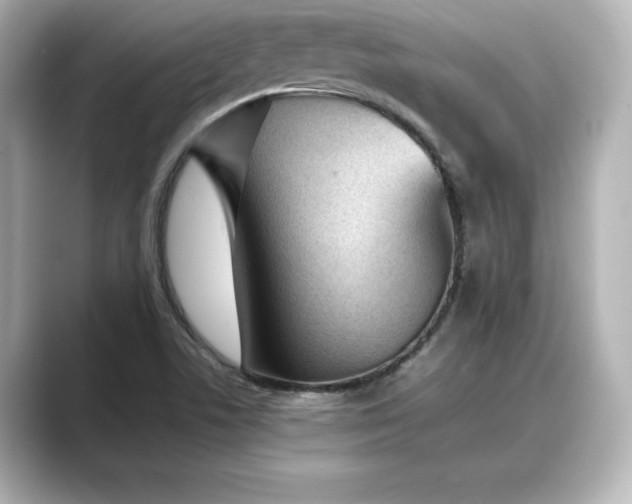 X0000089401506200706221108