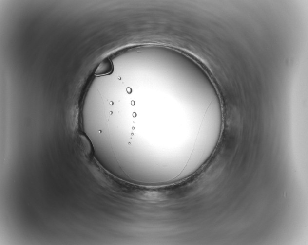 X0000089401507200706221108