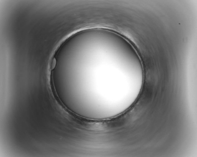 X0000089401508200706221108