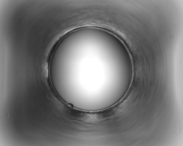 X0000089401509200706221108