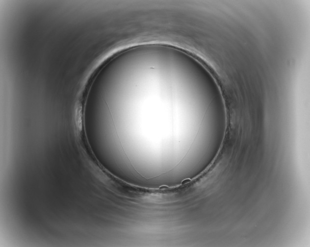 X0000089401510200706221108