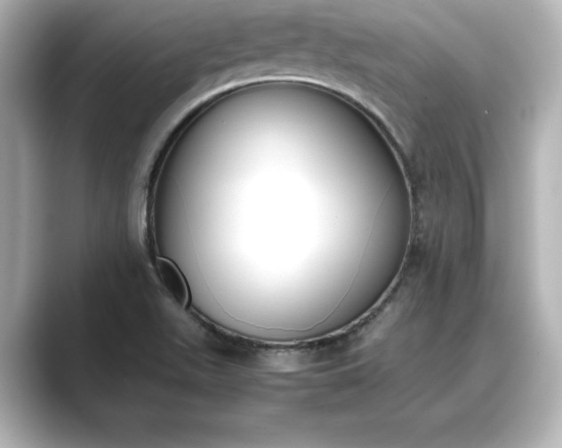 X0000089401511200706221108